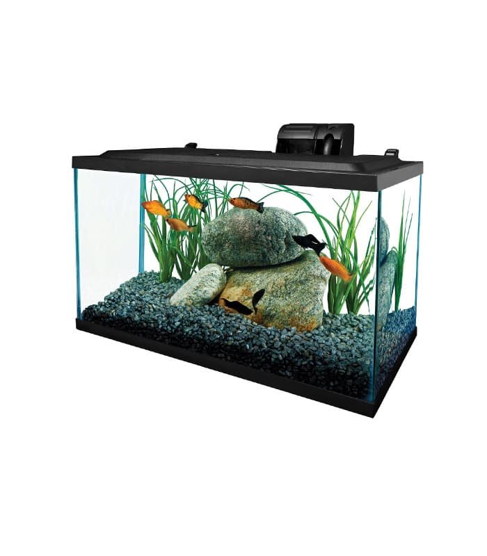 pet-product-more-pets-fish-8-0.jpg Tetra Glass Aquarium - 图片 1
